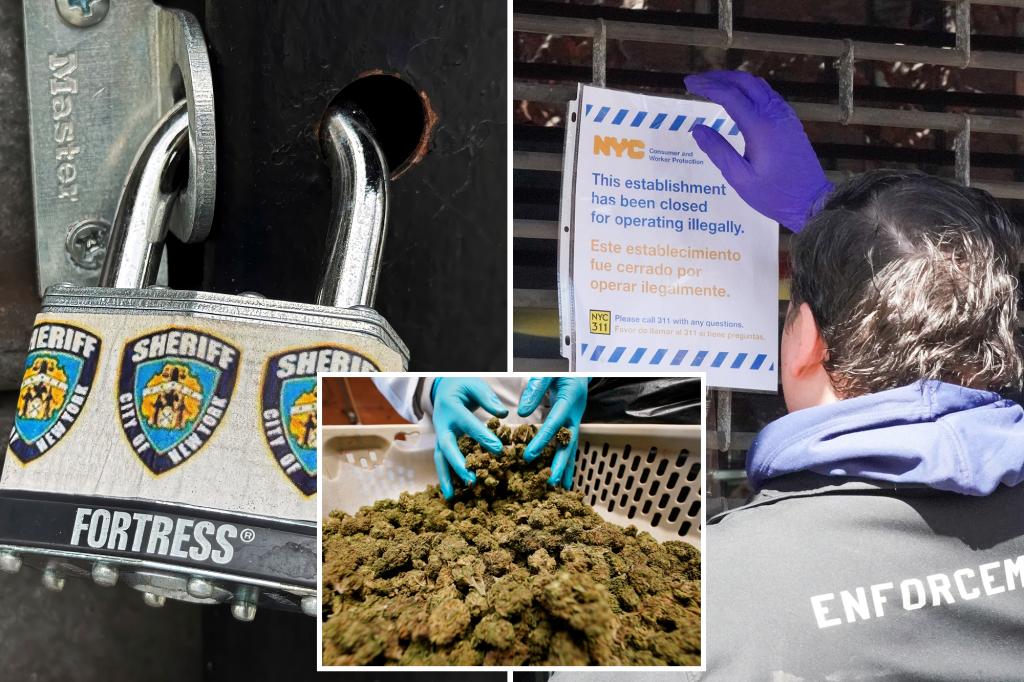 A whole lot of unlawful NYC pot retailers have dodged hundreds of thousands of {dollars} in fines: council report