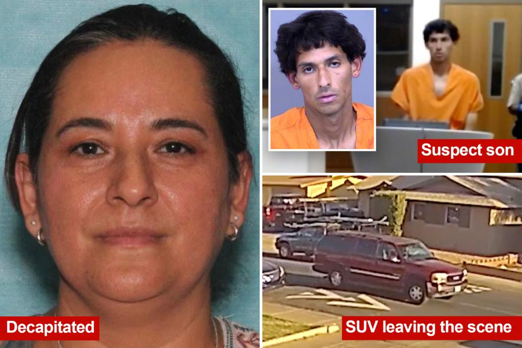 Arizona mother, Teresa DeJesus Cruz Rubio, decapitated by felon son, Alejandro Gonzalez, hours earlier than celebration