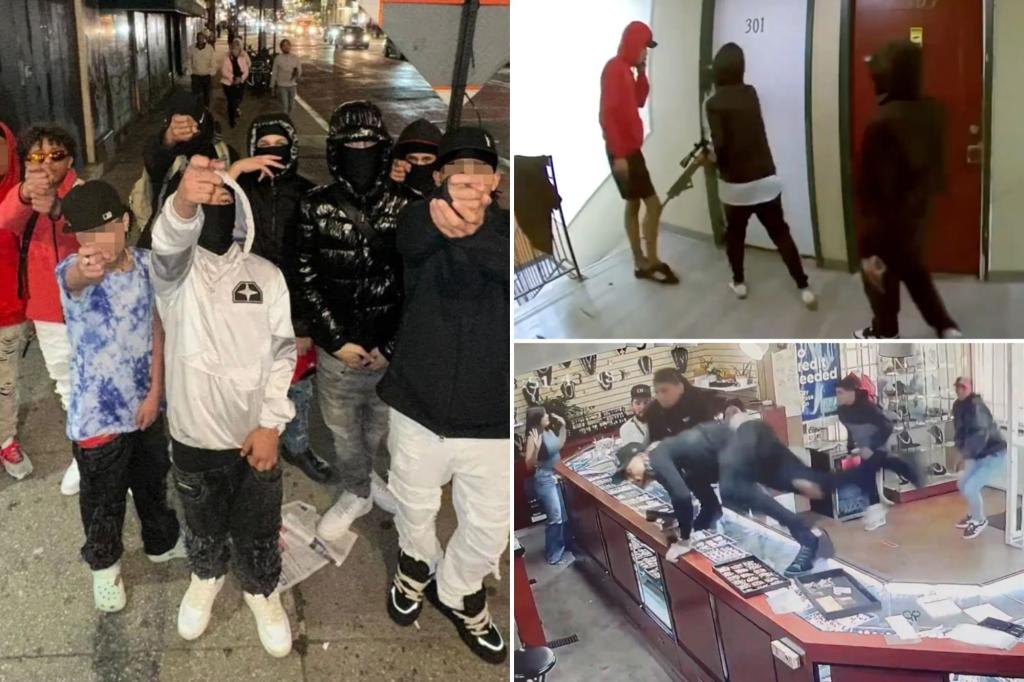 Republicans in Congress grill Biden administration on rise of Tren De Aragua of their state