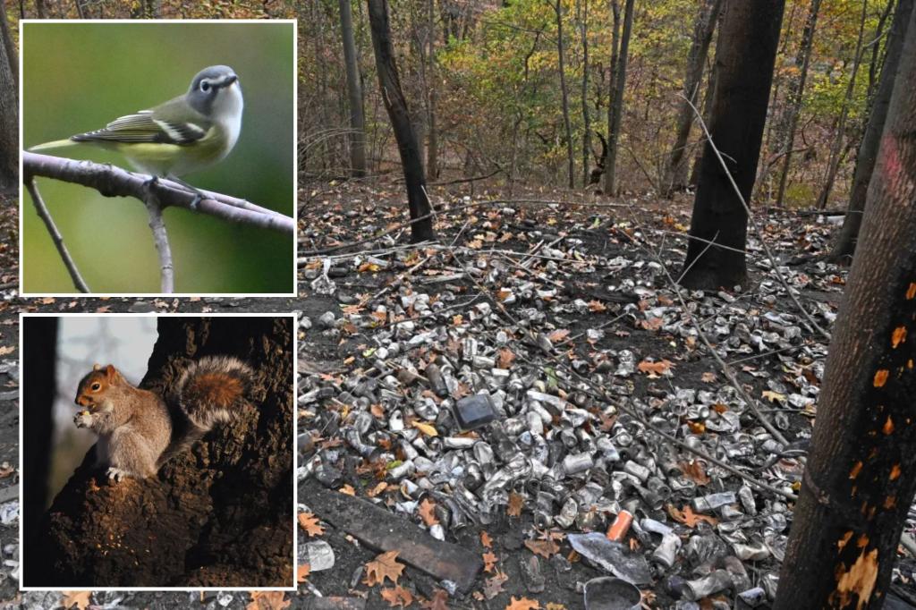 It could take years for Prospect Park wildlife to return after space torched by NYC brush hearth: consultants