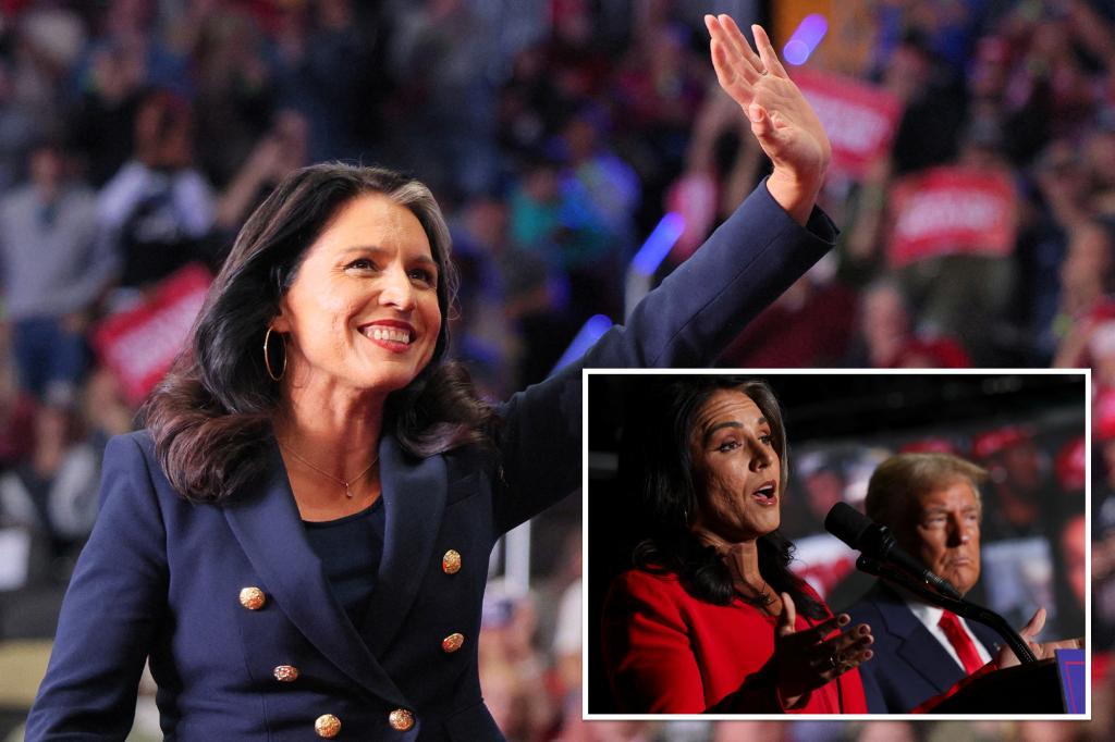 Ex-Dem Rep. Tulsi Gabbard eyes protection secretary job after switching events to again Trump