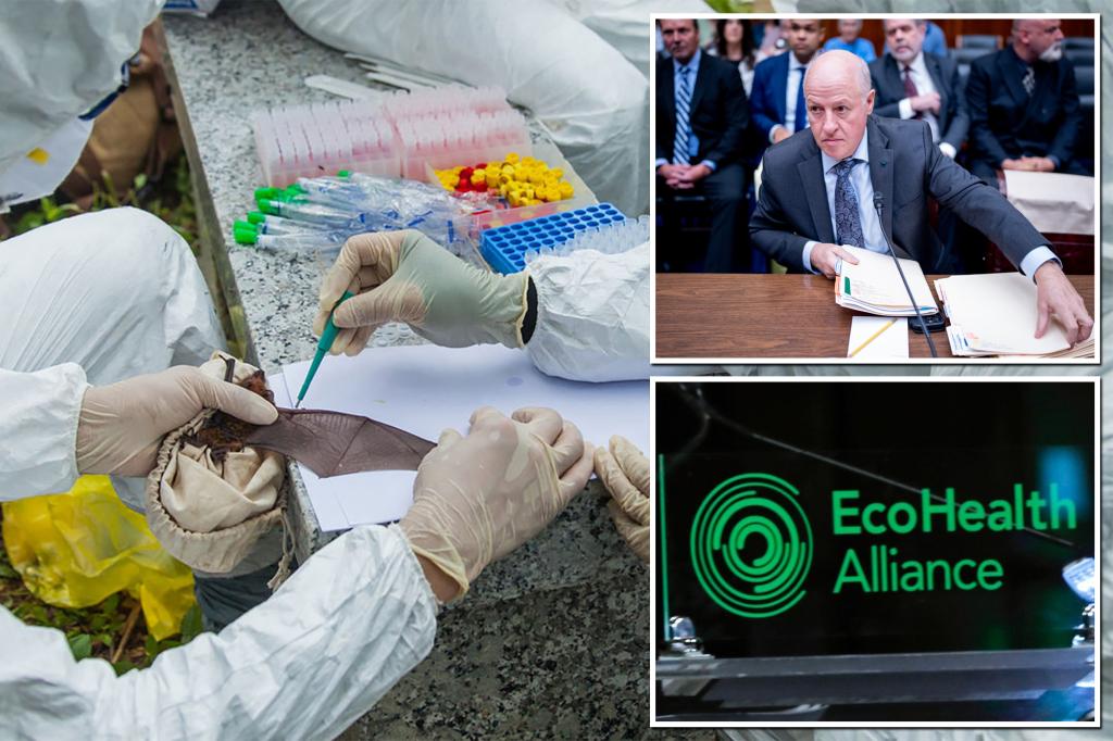 DOJ secretly investigated EcoHealth Alliance over COVID lab leak questions, Home report reveals