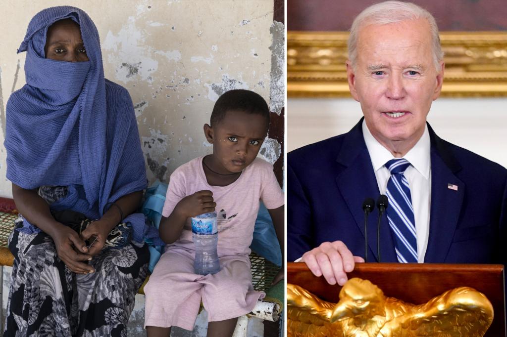 Biden admin slammed for ready to declare genocide in Sudan