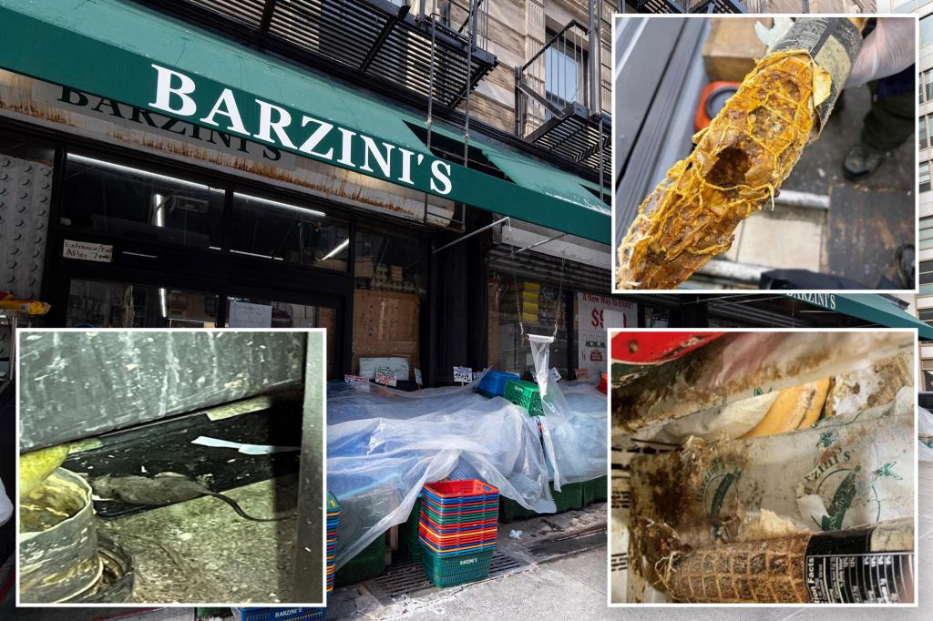 Barzini’s grocery story shut down after litany of rodent, well being violations