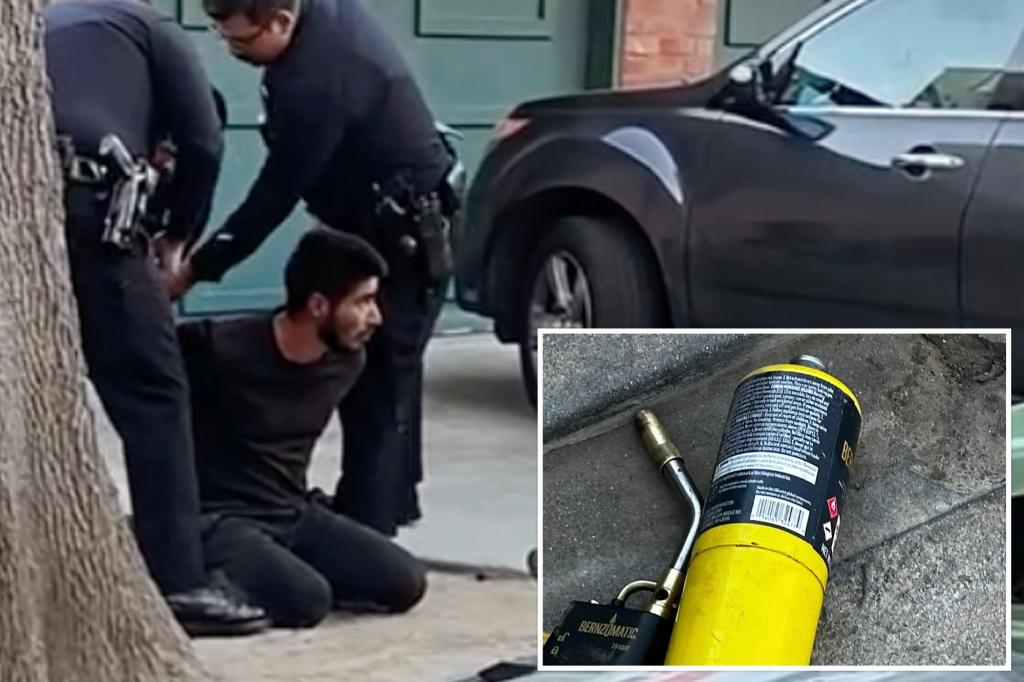 LA case of homeless man with blowtorch sparks new debate over vagrant disaster