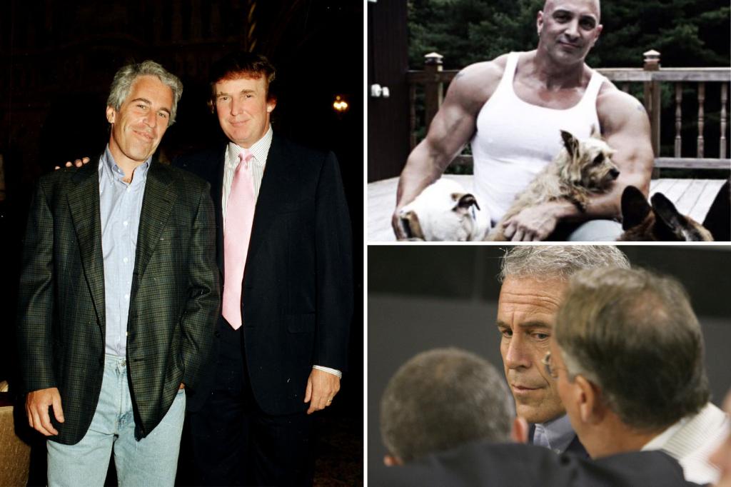 Feds provided Jeffrey Epstein a deal for grime on Trump: ex-cellmate
