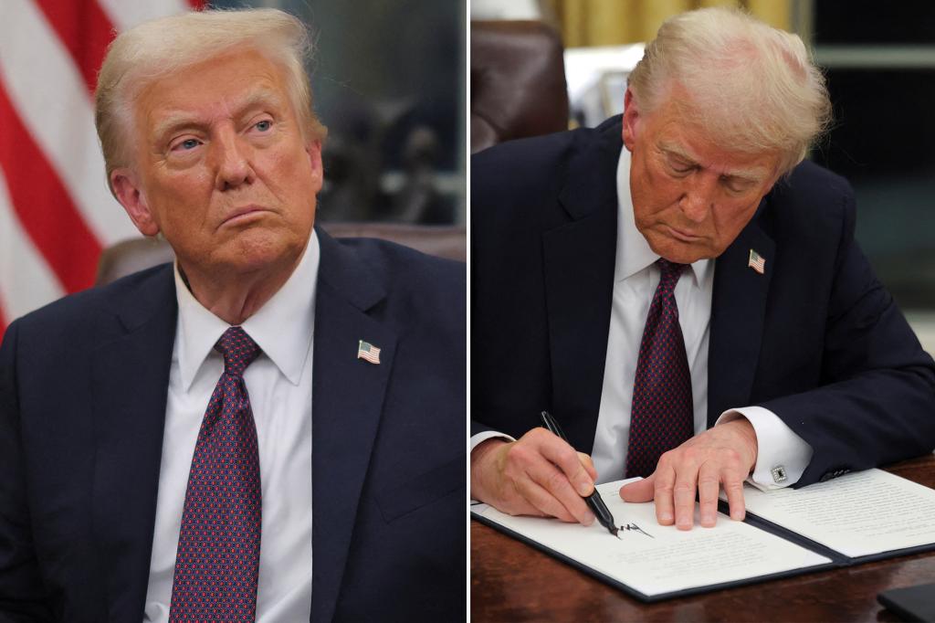 Trump’s govt orders on creating DOGE, nixing birthright citizenship are first to face authorized challenges