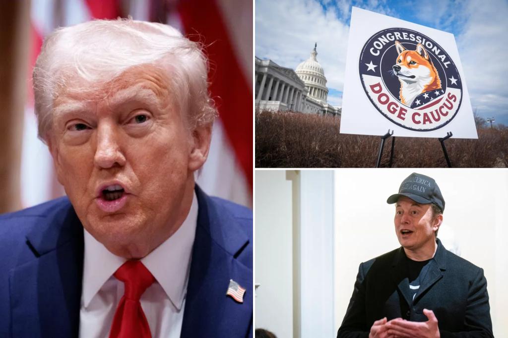 Trump orders 30-day freeze on use of US authorities bank cards