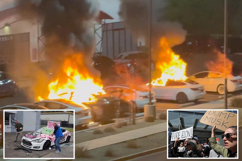 FBI launches activity drive to nail criminals behind fiery Tesla assaults