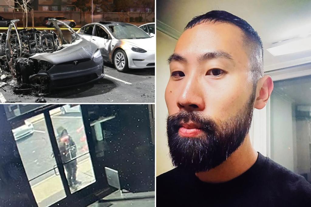 Accused Tesla Vegas bomber Paul Hyon Kim supported Luigi Mangione