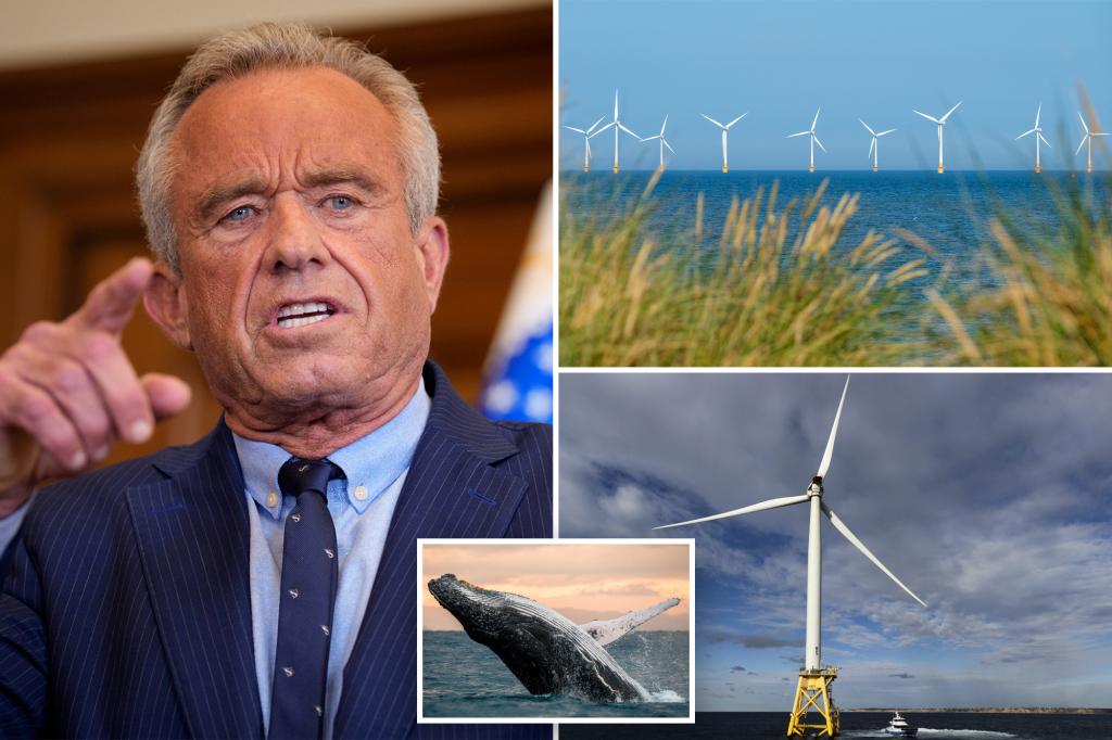 RFK Jr. blasts offshore windmill farms for harming marine life as he tries to avoid wasting whales and ostriches: ‘Make no financial sense’