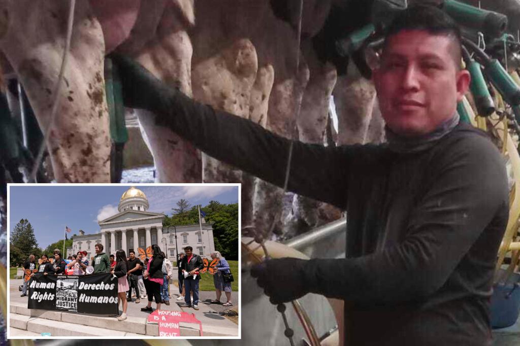 Dairy farm employee speaks out after certainly one of Vermont’s largest-ever immigrant raids