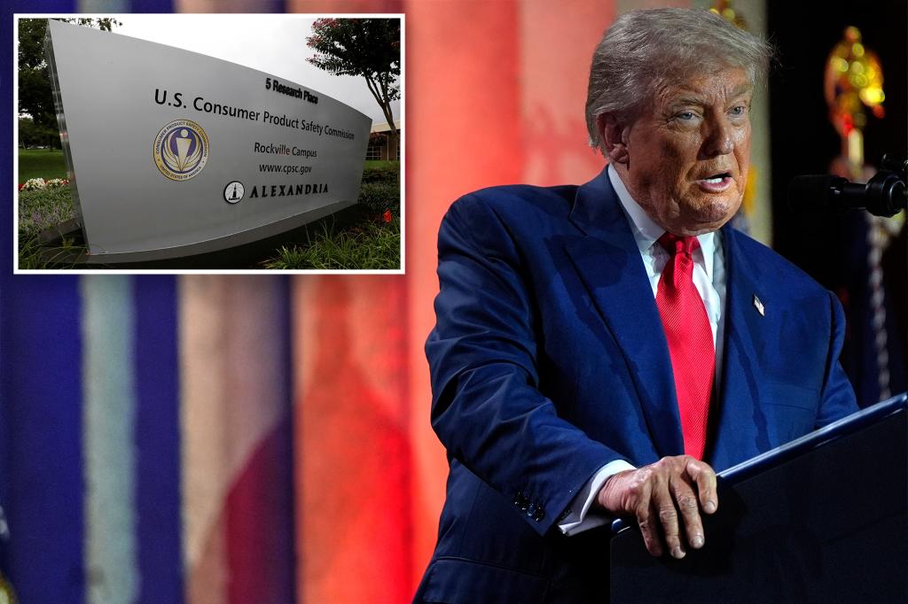 Supreme Courtroom lets Trump take away 3 Dems from Client Product Security Fee