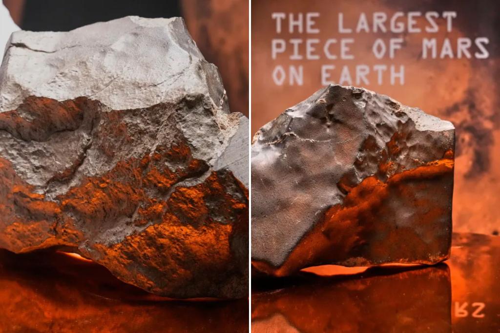 Largest piece of Mars on Earth sells for $5.3 million at NY public sale