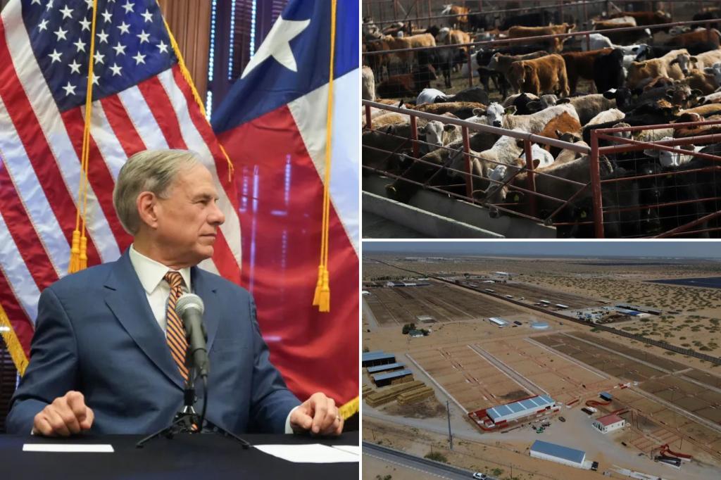 US confirms nation’s first travel-associated human screwworm case related to Central American outbreak 