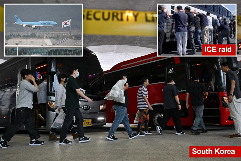 South Korean staff launched after days of detention in Georgia return residence