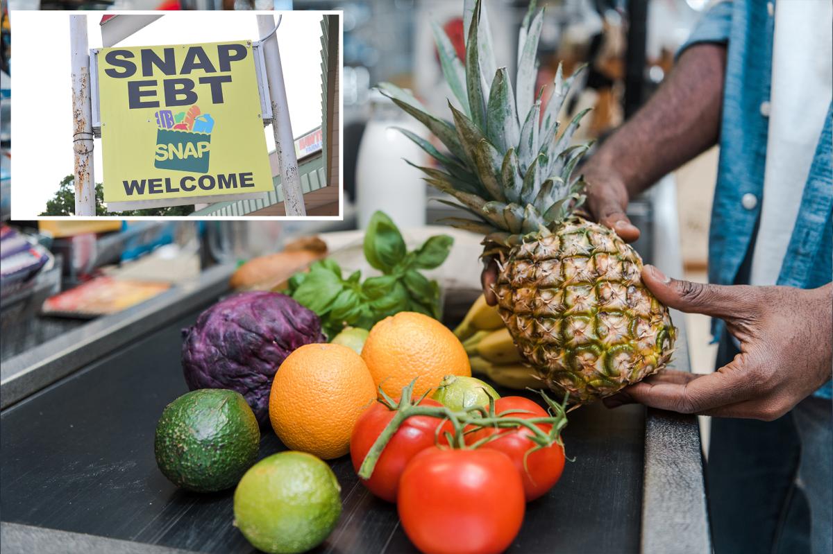 USDA declares no federal SNAP advantages shall be delivered over authorities shutdown, blames Democrats