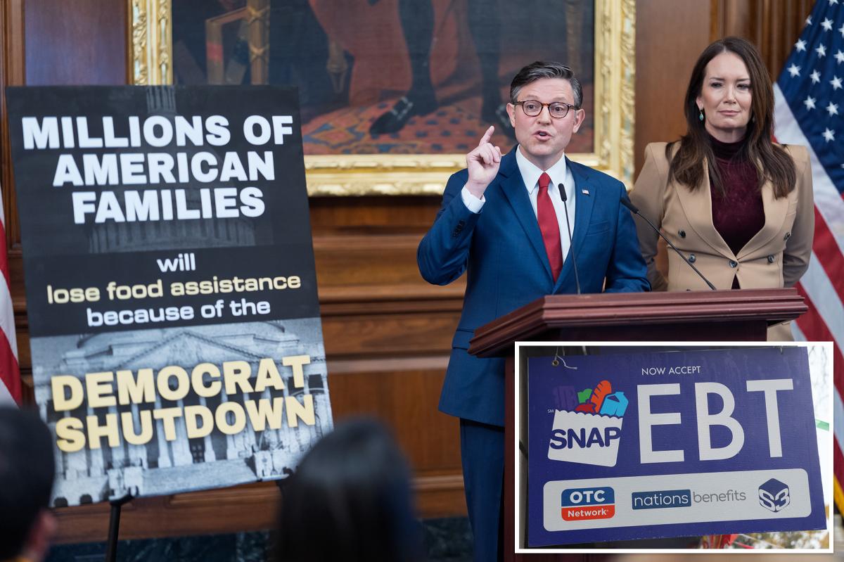 Dems cynically hold authorities shut down previous Election Day as SNAP advantages might lapse for hundreds of thousands of poor People