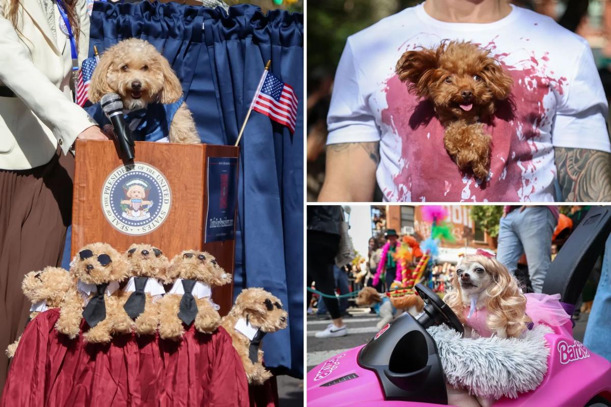 Costumed canines strut stuff at NYC’s Halloween Canine Parade