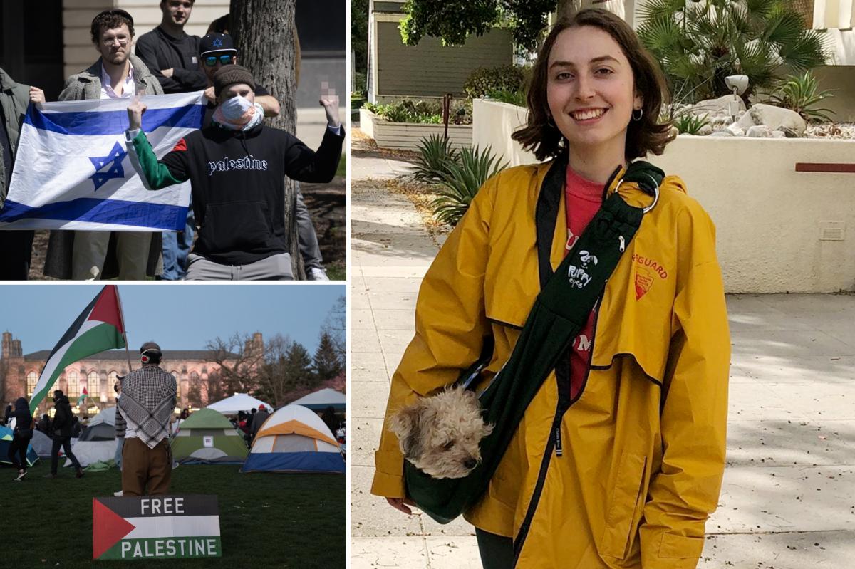 College students sue over Northwestern’s antisemitism coaching