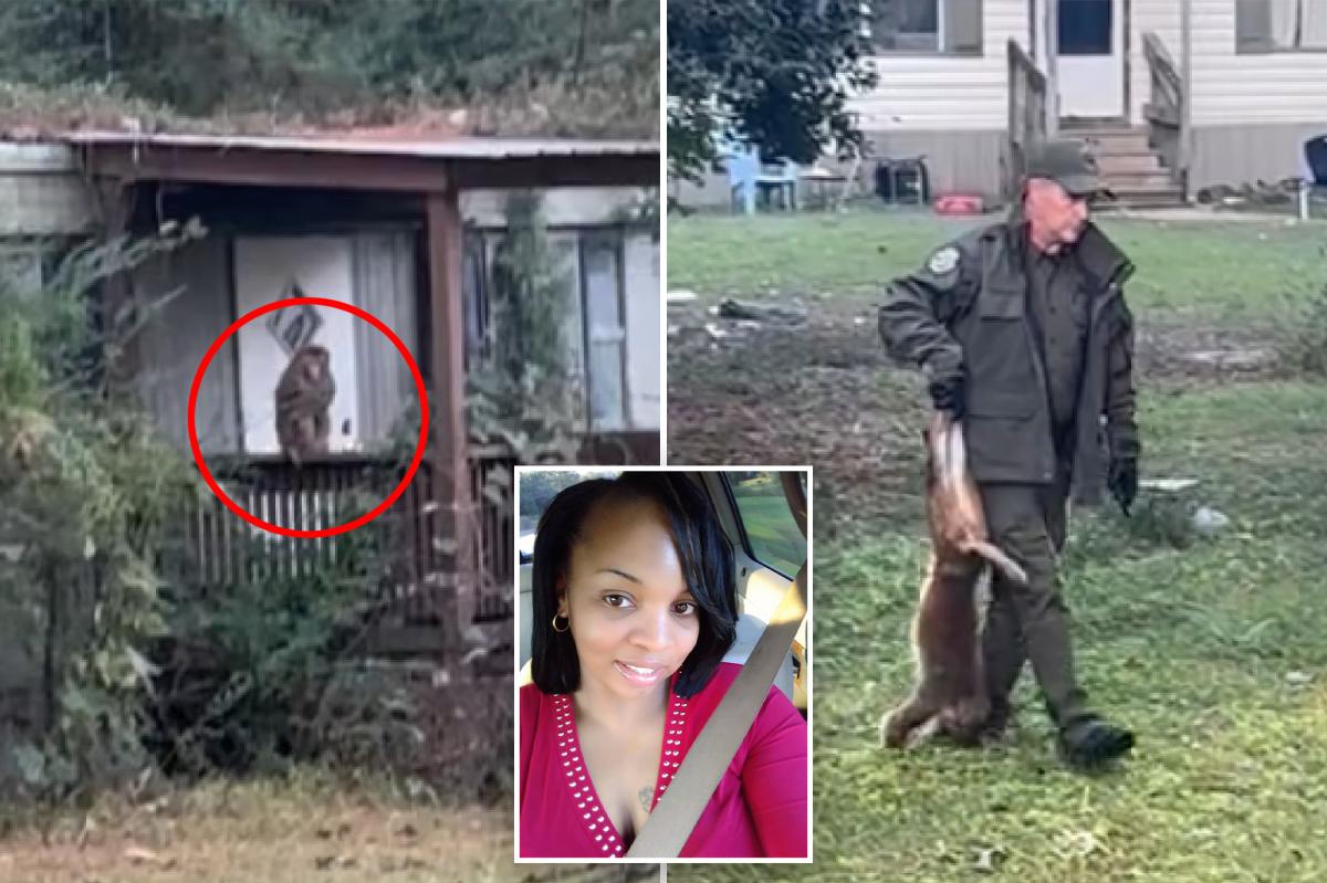Mississippi mother shoots useless monkey that escaped from overturned truck to guard her youngsters