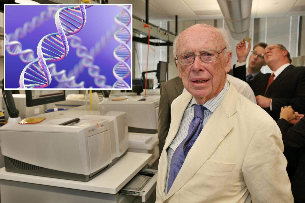 James Watson, Nobel Prize winner and co-discoverer of double-helix DNA, lifeless at 97