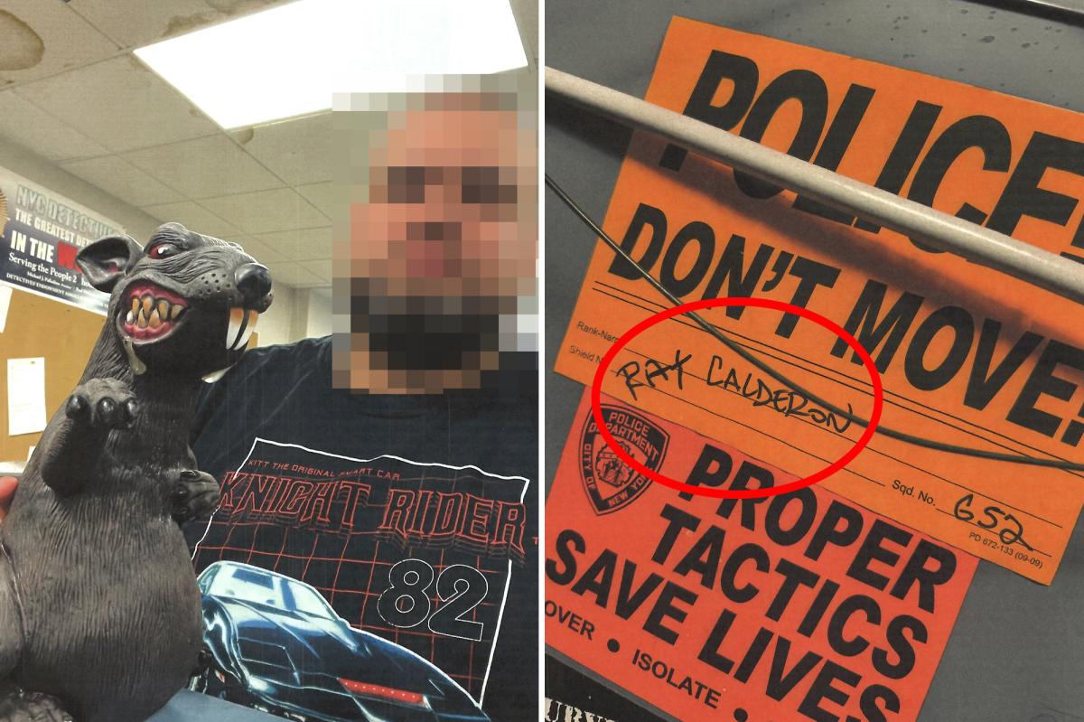 Unique | Intercourse toy story: Detective from Inside Affairs sues for dildo misery