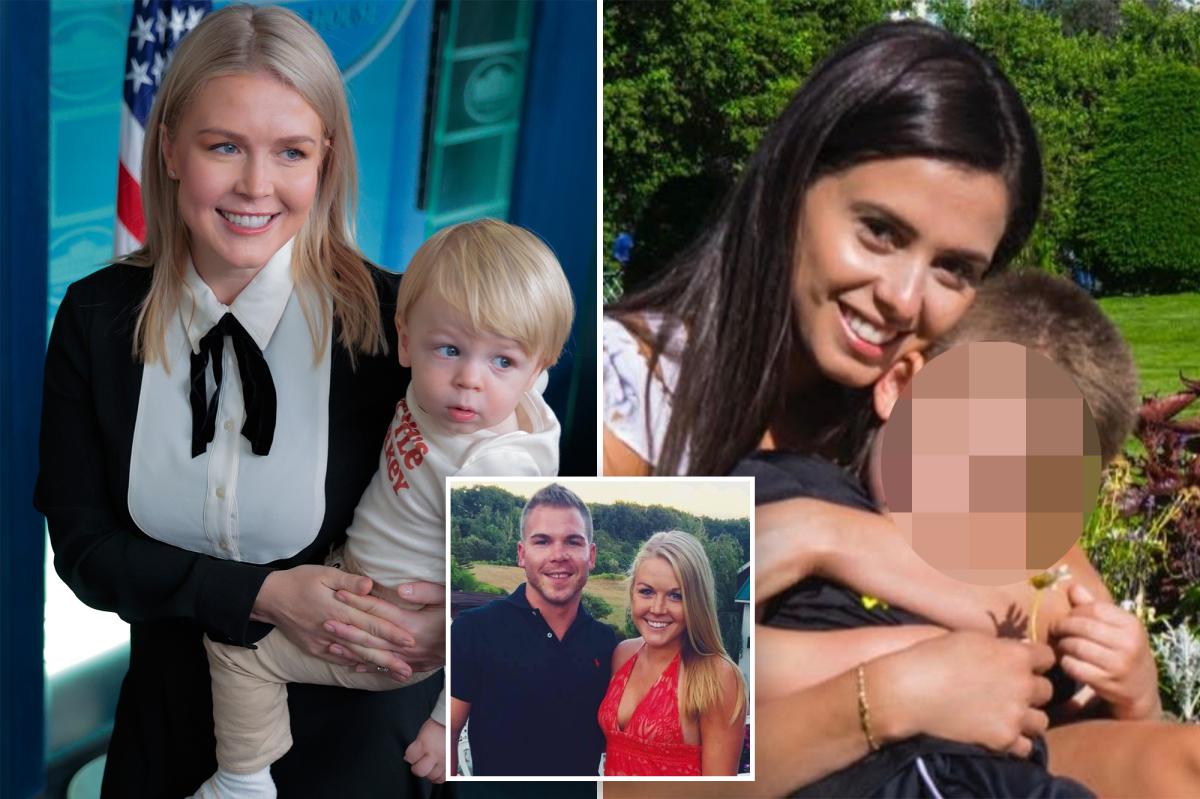 White Home Karoline Leavitt felony unlawful alien relative Bruna Caroline Ferreira detained by ICE