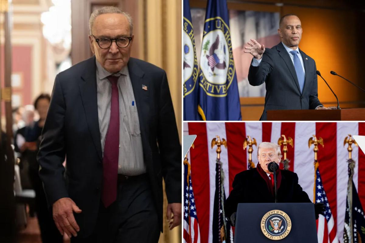 Soros-backed group launches main push to take down Chuck Schumer: ‘Want leaders with spine’