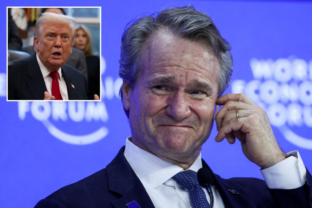 Trump snubs BofA CEO Brian Moynihan in White Home dinner for Wall Avenue execs: sources