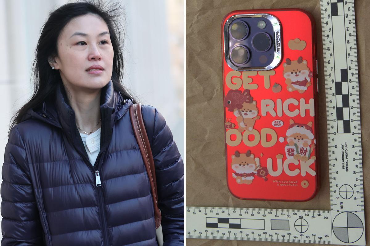 NY accused secret Chinese language agent Linda Solar toted ‘Get wealthy, good luck’ telephone case: feds