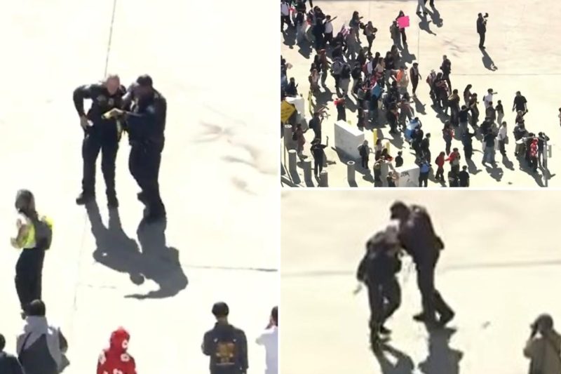 ICE agent hit in head with rock as highschool anti-ICE agitators in DTLA conflict