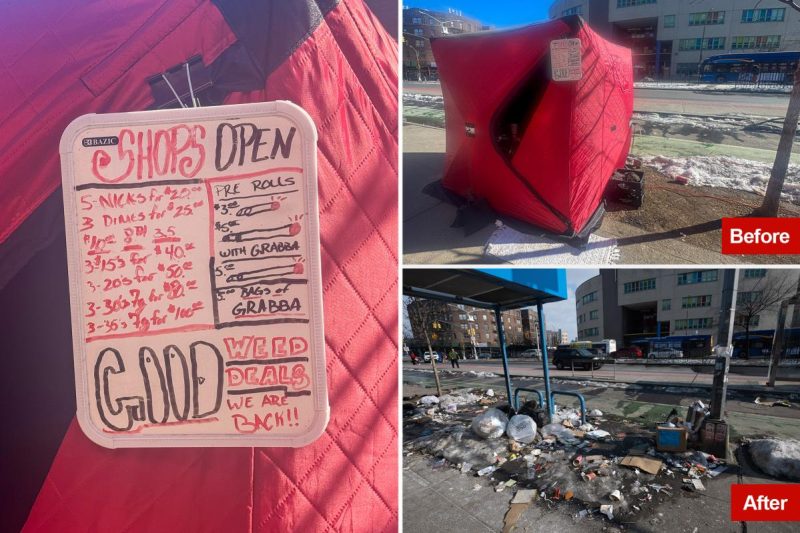 Bronx ‘drug igloos’ shut down by cops, however menacing ‘weed sellers’ threaten Submit scribes, vow to return