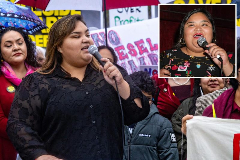 DSA candidates rail towards billionaires — whereas nonetheless cashing checks from the ultra-rich