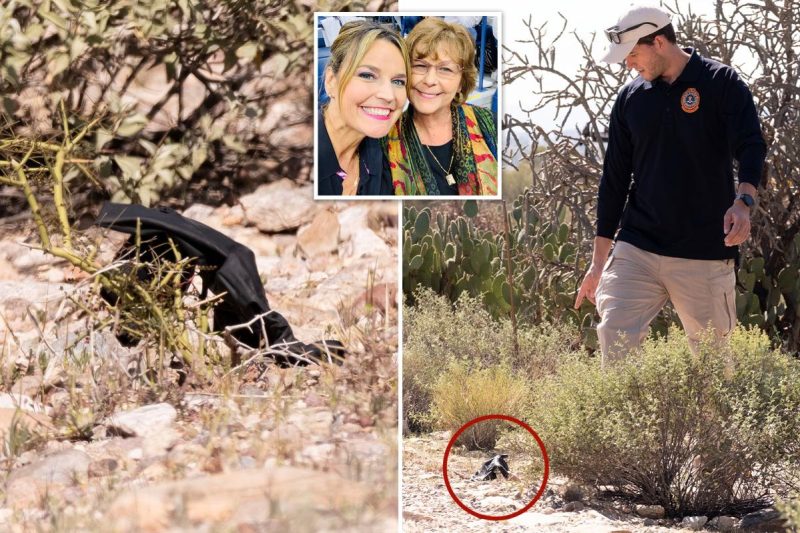 Mysterious black glove discovered close to Nancy Guthrie’s dwelling may maintain essential DNA proof: former FBI agent