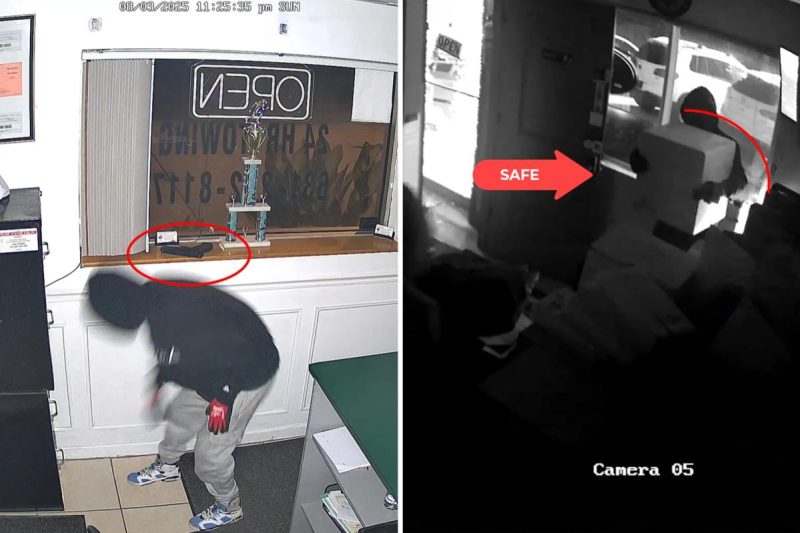 Brazen Lengthy Island auto-theft crew busted in 17-day, multi-state crime blitz