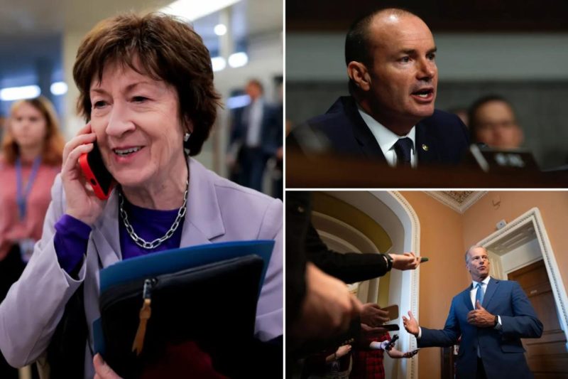 Sen. Collins backs GOP’s (SAVE) America Act requiring voter ID — on one situation