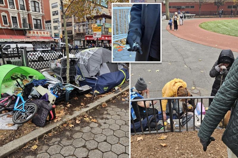 NYC store house owners declare junkies shoplifting, promoting items for medication: ‘It is like a parade’