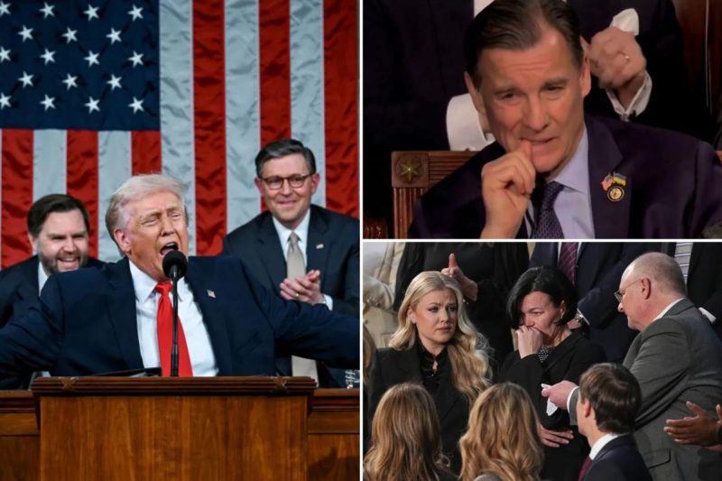 White Home gloats Trump ‘out-played’ Dems in viral moments from State of the Union as they refused to face