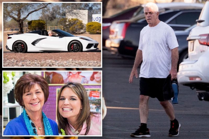 Nancy Guthrie sheriff Chris Nanos logging brief days in workplace as case languishes