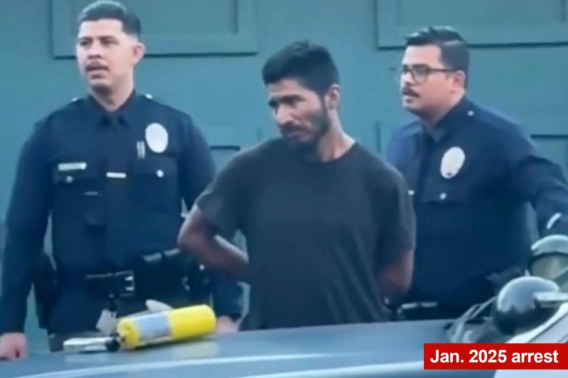 ICE arrests ‘flamethrower’ unlawful tackled and zip-tied by mob in California wildfires