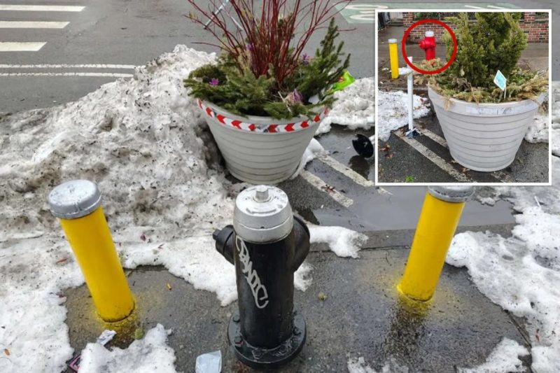 NYC’s weird answer to unlawful hydrant parking has locals fuming