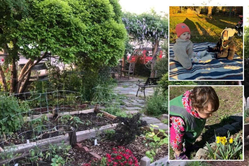 Elite Minds Montessori combating for entry to Pink Hook backyard